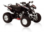 2009 CPI XS 250 photo